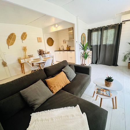 Cabane Le Flamant Avec Jardin, Piscine Et Parking Σαιντ-Μαρί-ντε-λα-Μερ Εξωτερικό φωτογραφία