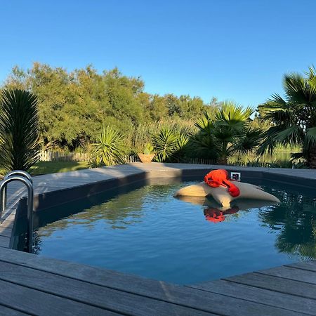 Cabane Le Flamant Avec Jardin, Piscine Et Parking Σαιντ-Μαρί-ντε-λα-Μερ Εξωτερικό φωτογραφία