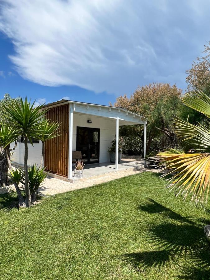 Cabane Le Flamant Avec Jardin, Piscine Et Parking Σαιντ-Μαρί-ντε-λα-Μερ Εξωτερικό φωτογραφία