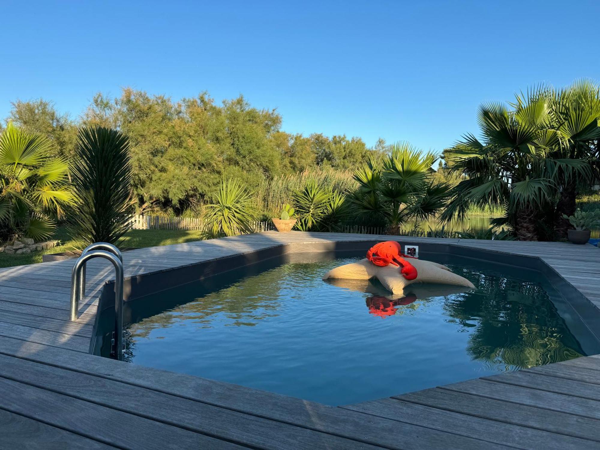 Cabane Le Flamant Avec Jardin, Piscine Et Parking Σαιντ-Μαρί-ντε-λα-Μερ Εξωτερικό φωτογραφία